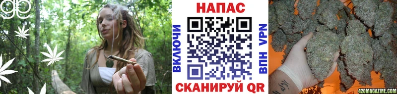 Магазины продажи наркотиков Жуковка Cocaine  A PVP  Конопля  АМФ  Меф 