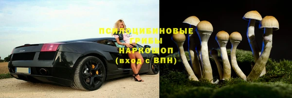 мет Гвардейск