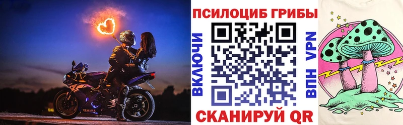 darknet телеграм  blacksprut   Жуковка  Галлюциногенные грибы прущие грибы 
