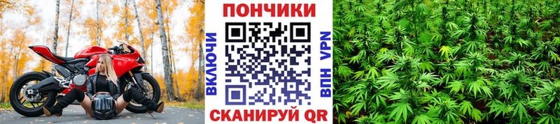 Марихуана сатива  Жуковка 